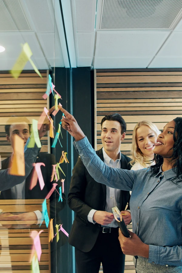 project execution at Sainbiz image